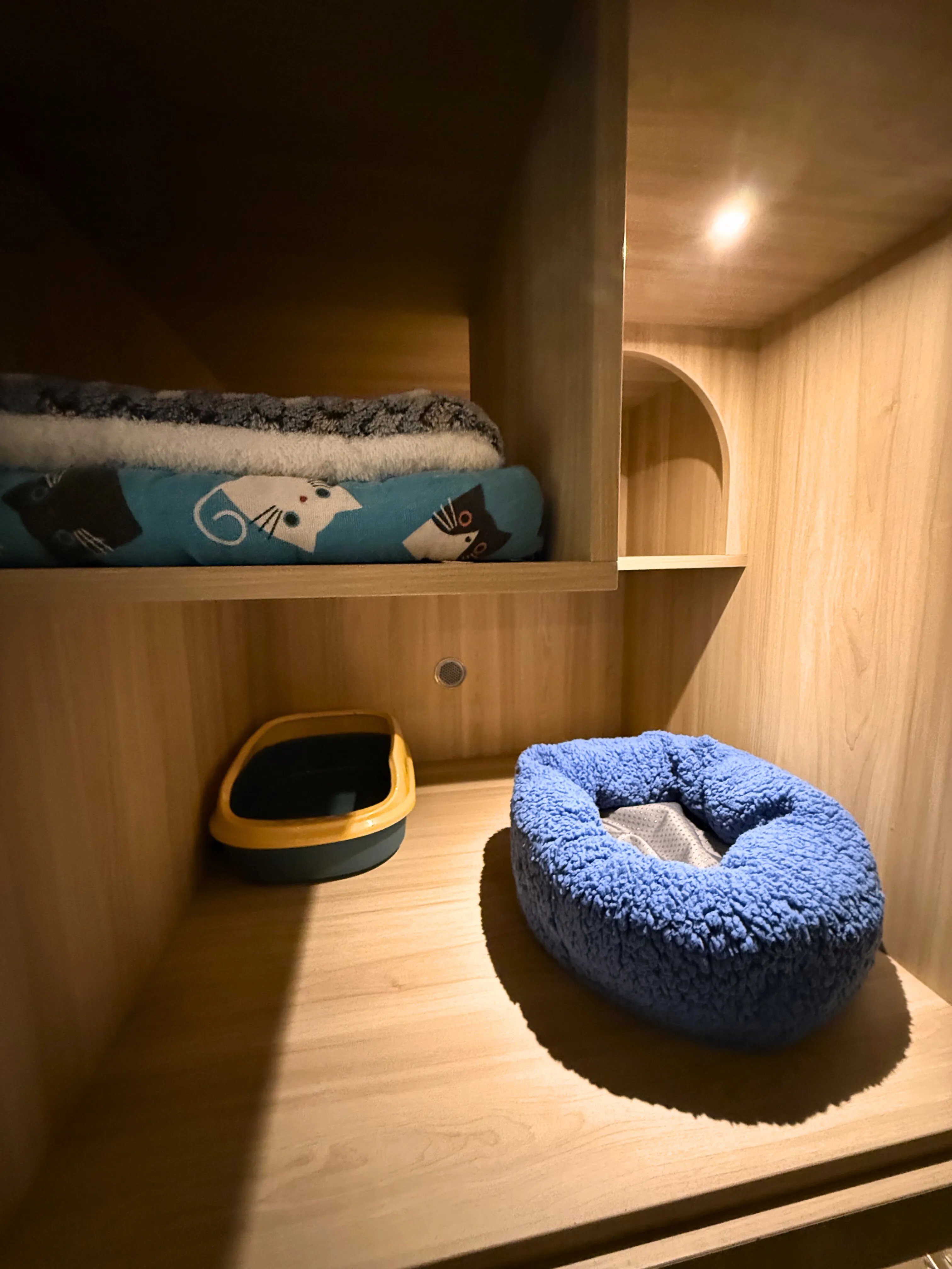 Basic Room Image 03